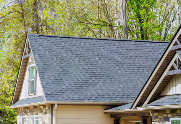 Best Roof Maintenance and Cleaning  in Dodson Branch, TN